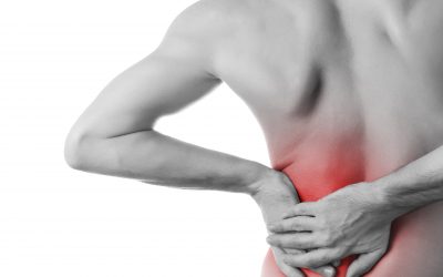 Ten facts about low back pain